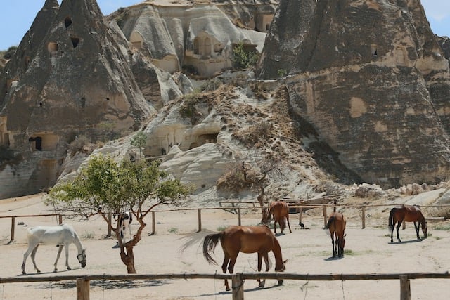 Cappadocia Horseback Riding Cappadocia Horseback Riding